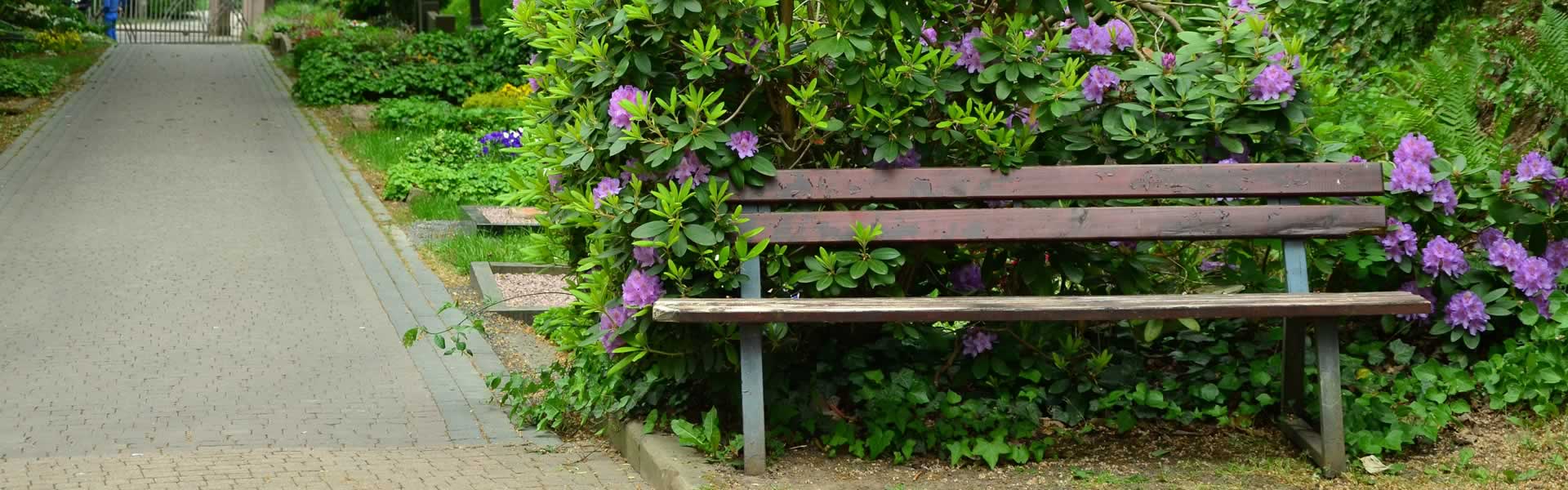 Servizi di onoranze funebri Moglia